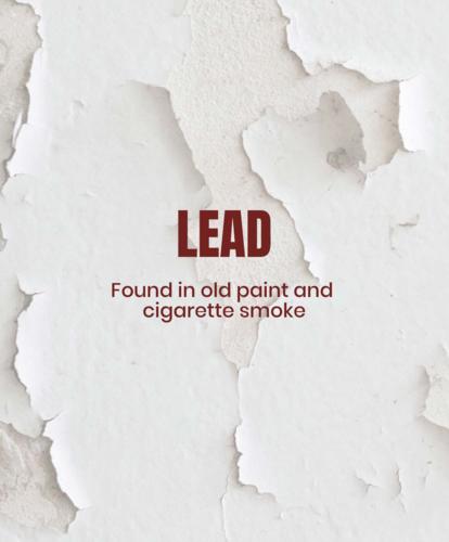 Lead. Found in old paint and cigarette smoke.
